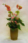 Orchid Phalaenopsis Gift Set - CODE 1110